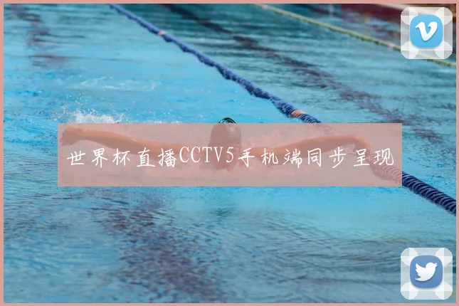 世界杯直播CCTV5手机端同步呈现