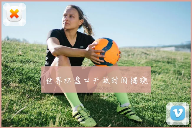 世界杯盘口开放时间揭晓