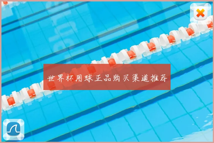 世界杯用球正品购买渠道推荐
