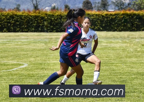 aoa线上平台|(官方)网页品牌故事